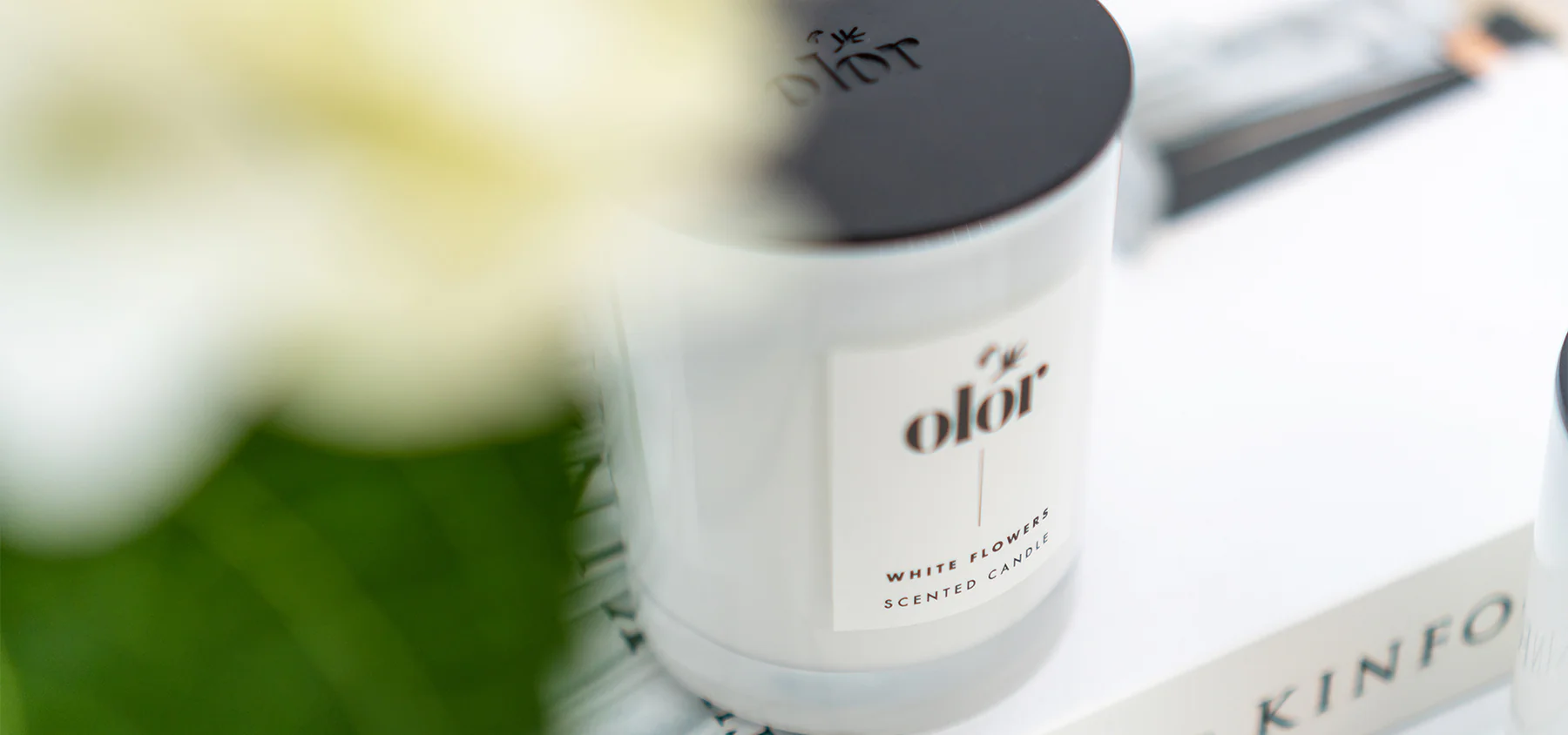 Elevate Your Home with OLOR